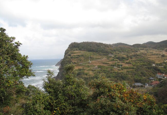 急峻な山を開墾した苦労が偲ばれました。