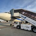 ローシーズンで羽田から石垣まで往復17,000マイル！