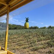 一息つくのは最後の方で！