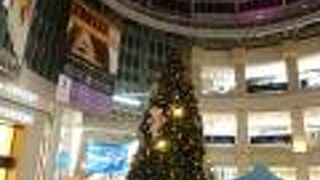 中央部にクリスマスツリーが