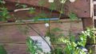 手づくり工房 一の蔵