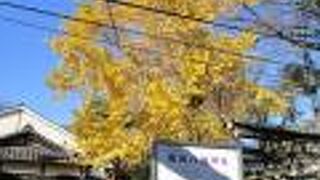 旧馬込村の総鎮守