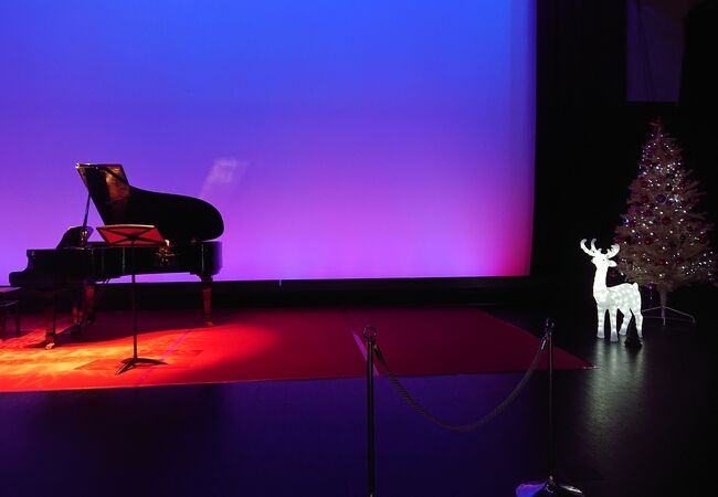 室内イルミネーションと、クリスマスコンサートを堪能