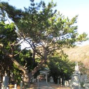 地元ではたいへん親しまれている神社です。