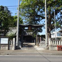 入口は旧中山道に面しています。鳥居奥右が大楠の木。