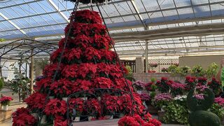 入場無料、ハーブ園を案内してくれるお兄さんの話が面白い