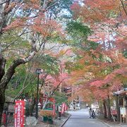 紅葉と三重塔が見どころです