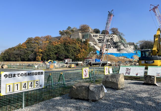 興味深かったです