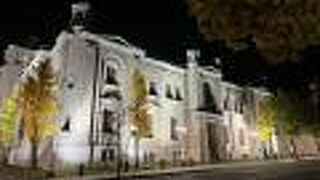 通年見られる夜間のライトアップイベント