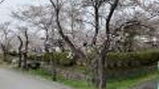 桜の時期に訪れました