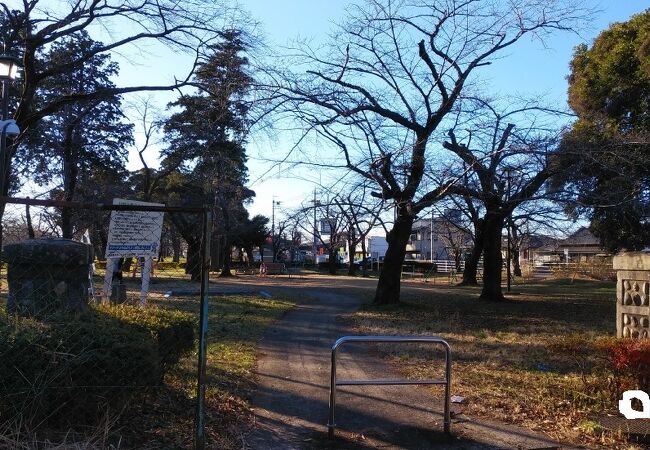 桜の木が多くある公園