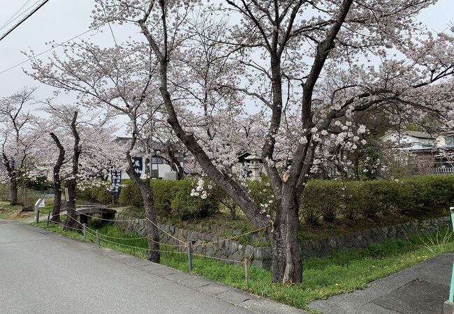 桜の時期に訪れました