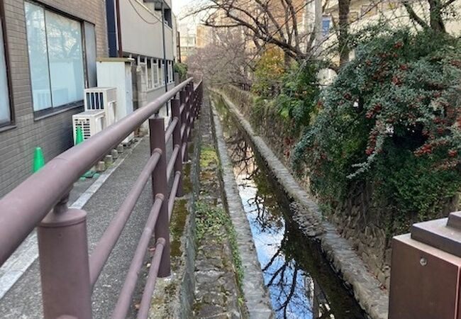 川崎市の形が長細いのは…。