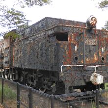 痛ましく観るに忍びないほどです…