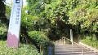 西郷隆盛が最期の5日間を過ごし、薩軍の指揮をとっていた洞窟