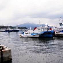 湾内には多くのパイロットが停留してます