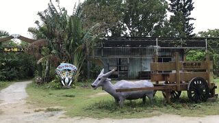 由布島／沖縄県由布島