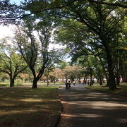 とても気持ちの良い公園、都立小金井公園 ♪