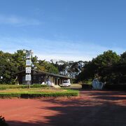 青嶋の半分が青嶋公園でした。