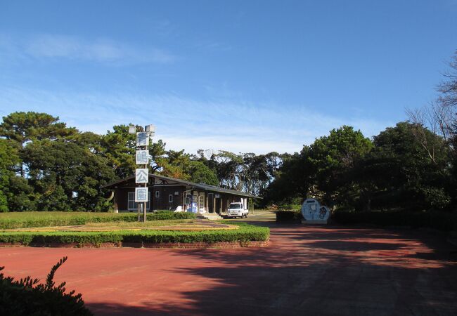 青嶋の半分が青嶋公園でした。