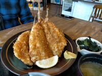 堂ヶ島食堂