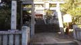 手水が温泉でした