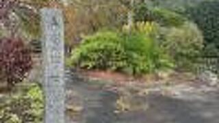 義経の子誕生を祝い、弁慶が投げた松