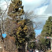 杉の巨木が立ち並ぶ日光の街道