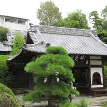 木々に囲まれて