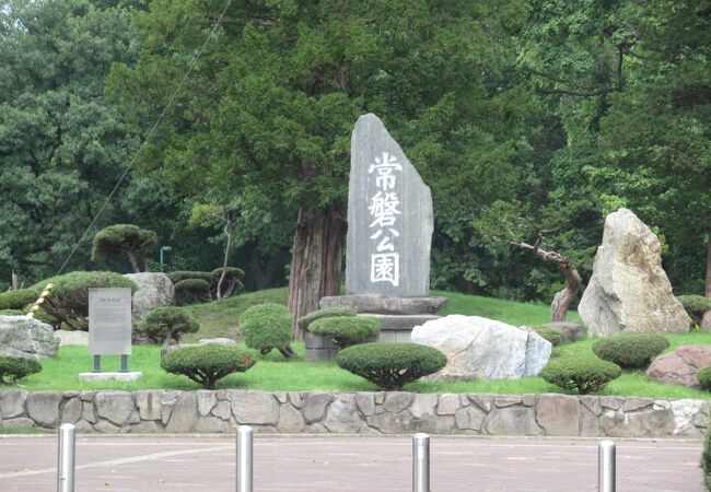 大きな公園です