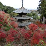 紅葉めぐり