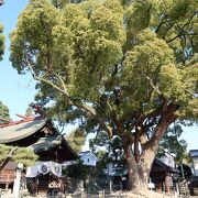 旧尾道市内で最古の神社