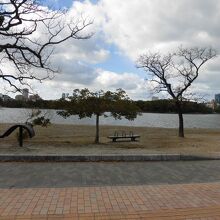 池はとても大きいです。