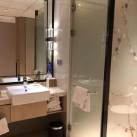 浴槽はなくシャワーのみの部屋でした。