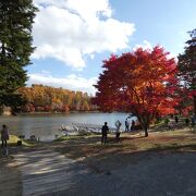 紅葉に囲まれた農業用溜池の人造湖