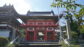 阿波蜂須賀家の菩提寺であったというのも納得です