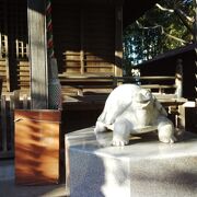 逗子駅近く、狛犬のそばで亀も出迎えてくれる神社