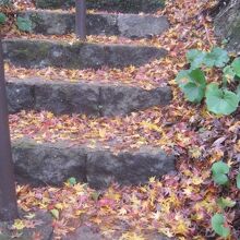 落ち葉を踏みしめながら、しみじみと遊歩道を歩きます