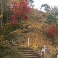 紅葉が素晴らしい本丸エリア歩道の様子