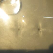 肉眼で見ても、鈴かどうか判別し辛いレベルですね～。