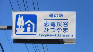 近くに恐竜博物館もあり、トイレのサインが恐竜だったりする、中部縦貫自動車道無料区間のPA的存在