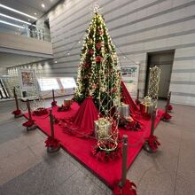 クリスマスツリー