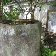 大本山です