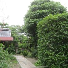 よく手入れされた境内です