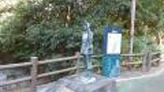 大山祇神社の宝物館から鶴姫公園へ通じる道路