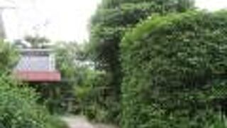 渉成園の北側にあります