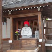 可愛いお顔立ちです