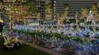 ホワイトゴールドクリスマス