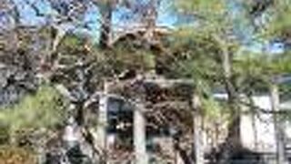 庭園が見事な曹洞宗寺院