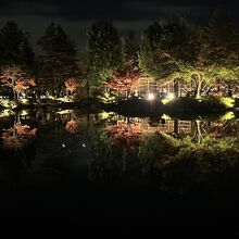 日本庭園も見事！　池のリフレクションが綺麗で幻想的